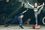 Вінницькі рятувальники займаються йогою//Фото: Костянтин Ревуцький