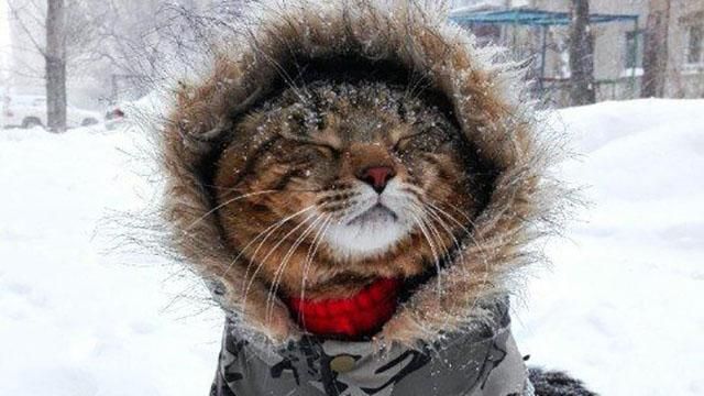 Погода на февраль 2018 в Украине: прогноз от синоптиков Погода на февраль 2018 в Украине: прогноз от синоптиков