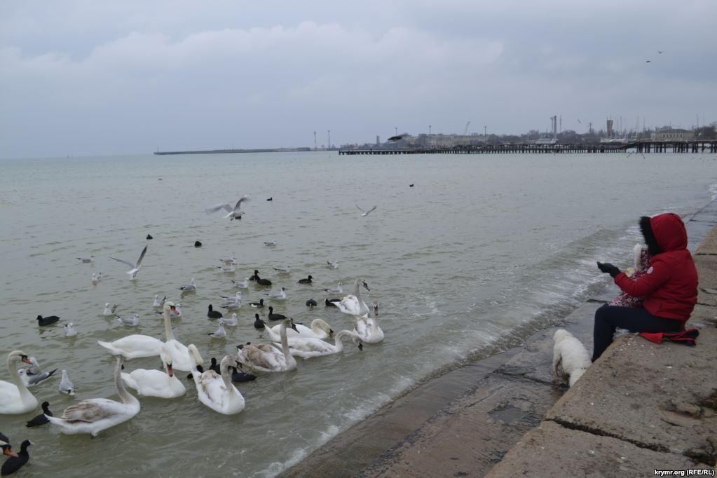Зимний день в Евпатории: опубликовали новые фото из Крыма Зимний день в Евпатории: опубликовали новые фото из Крыма