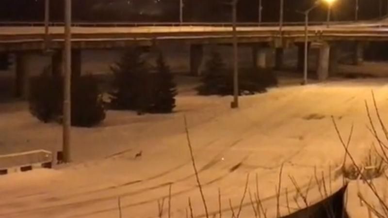 Дикий восток: журналист показал свежее видео из оккупированного Луганска Дикий восток: журналист показал свежее видео из оккупированного Луганска