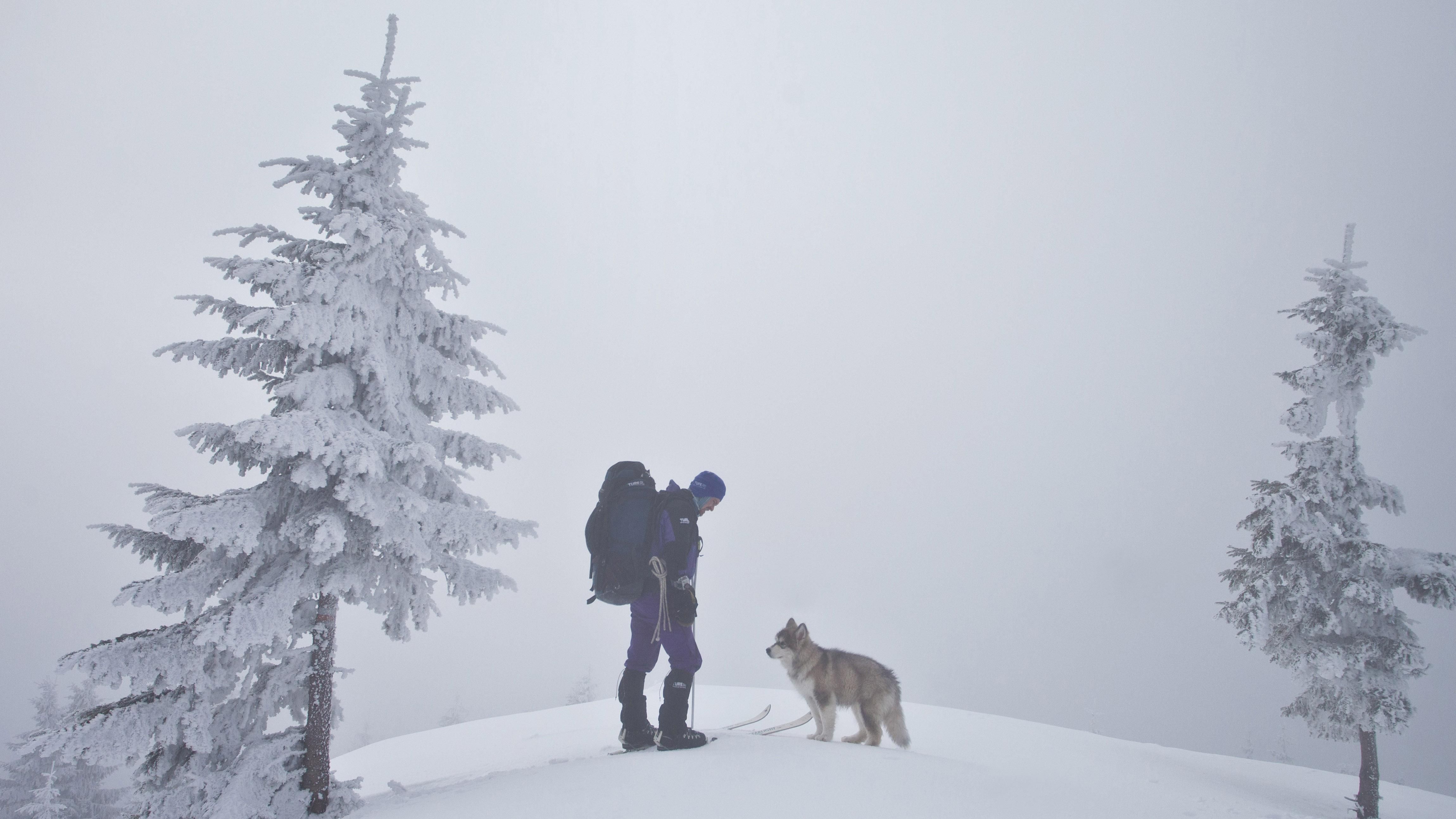 У засніжених Карпатах заблукали туристи: рятувальники працювали всю ніч У засніжених Карпатах заблукали туристи: рятувальники працювали всю ніч