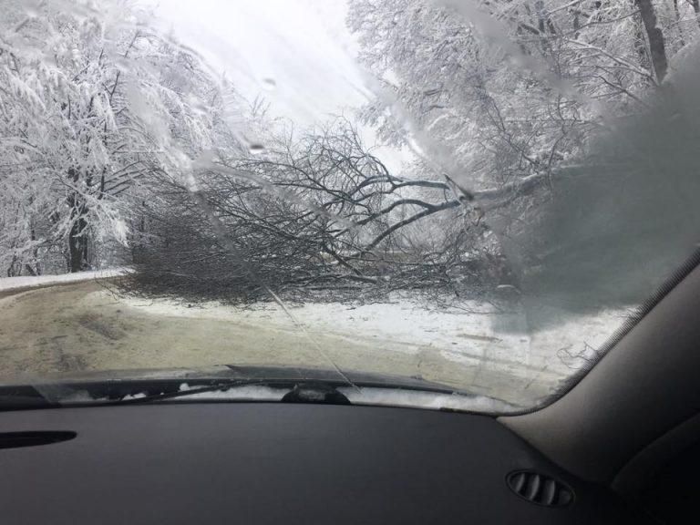 Негода в Україні: сильний снігопад наробив лиха у Львові (фото) Негода в Україні: сильний снігопад наробив лиха у Львові (фото)