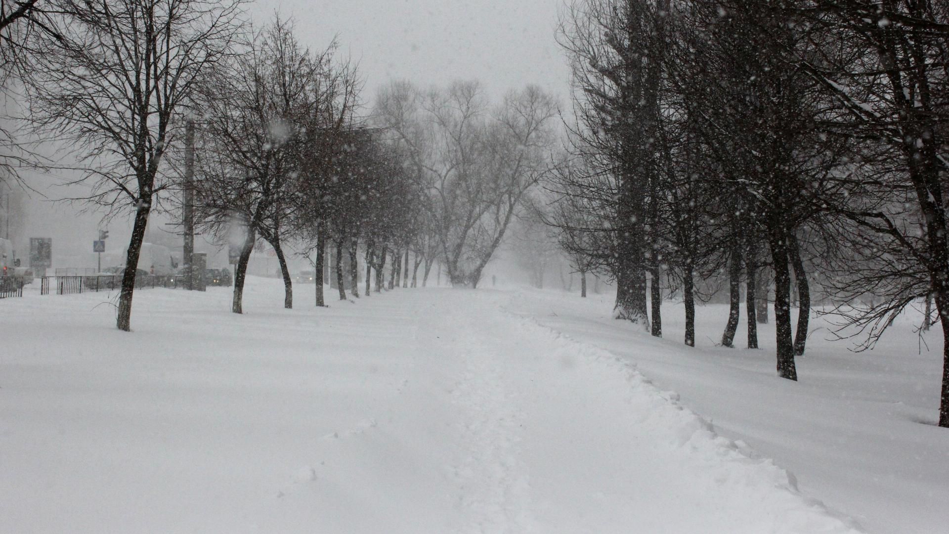 Погода 6 лютого в Україні: сніг і морози, а на півдні весна