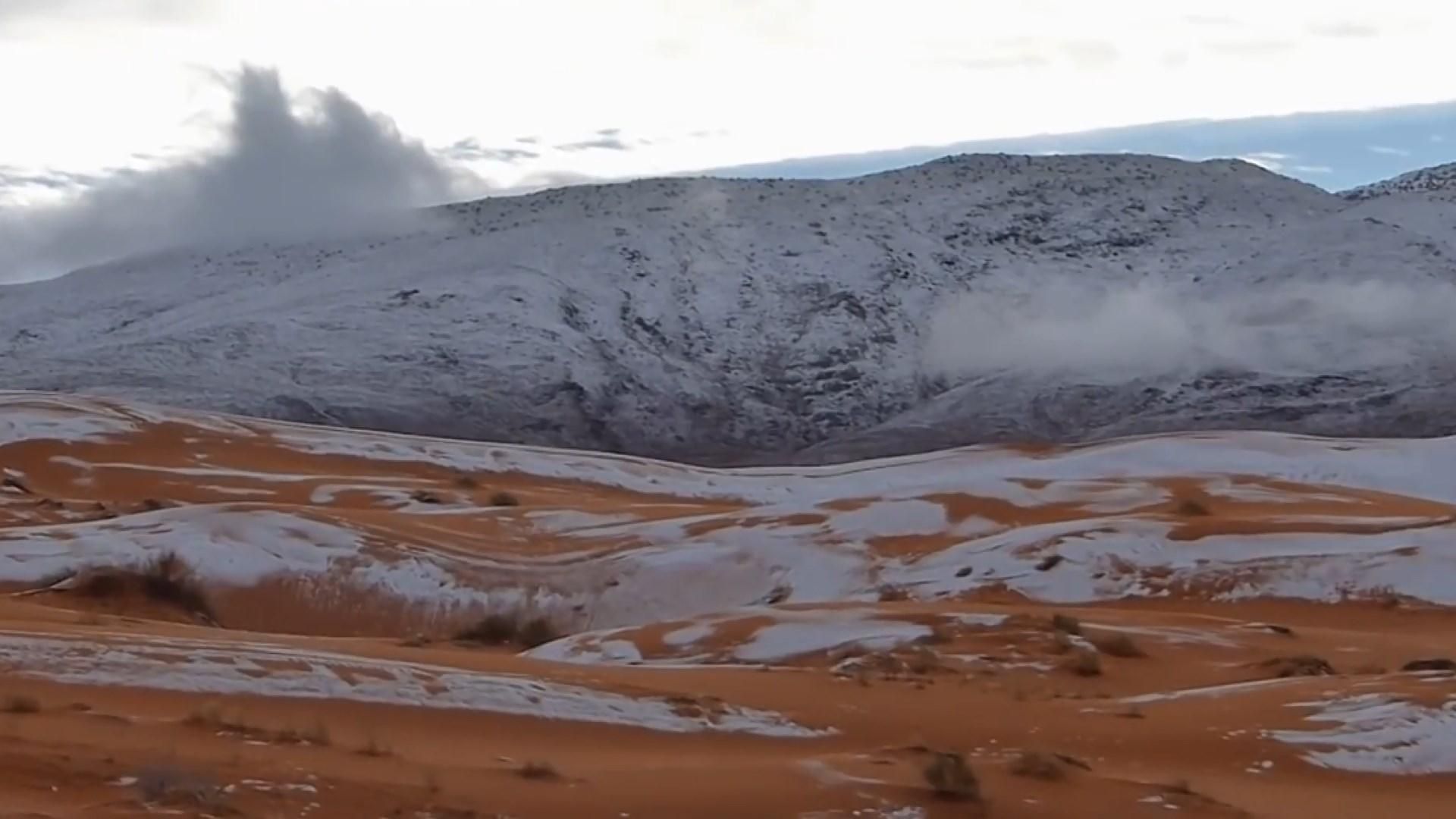 Изменение климата: какие последствия могут иметь аномально теплые зимы Изменение климата: какие последствия могут иметь аномально теплые зимы