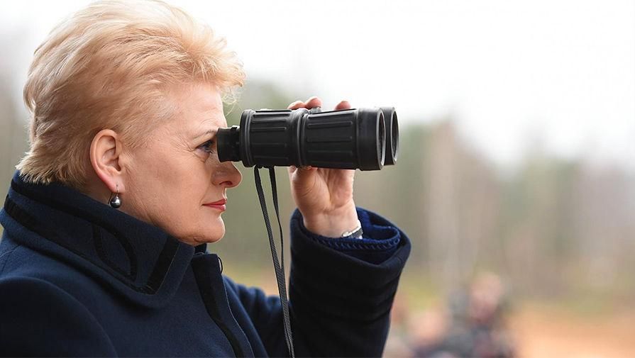 Грибаускайте сделала тревожное заявление относительно российских "Искандеров" Грибаускайте сделала тревожное заявление относительно российских "Искандеров"