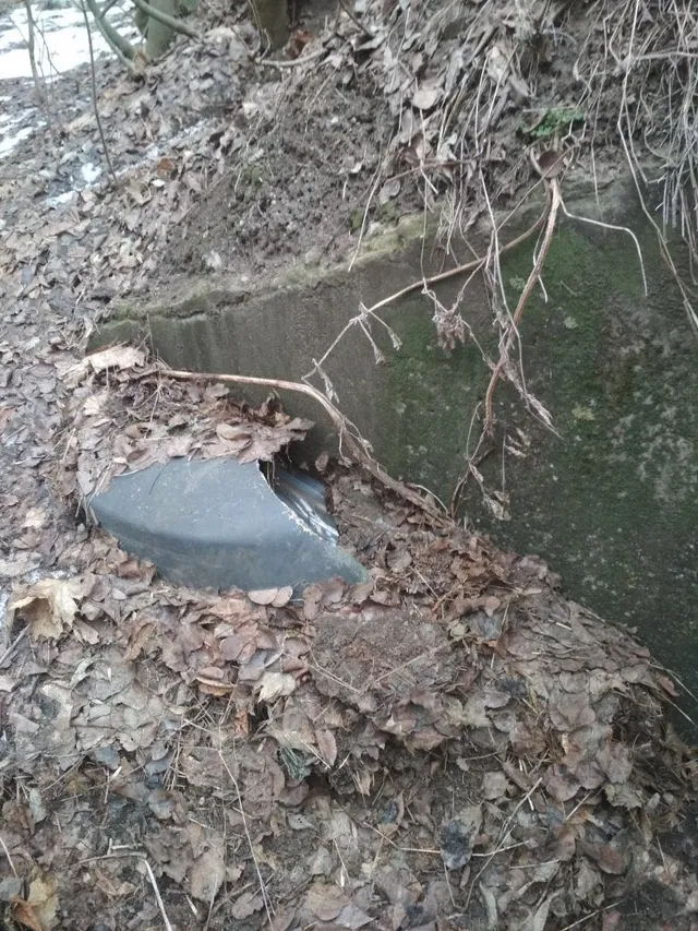 Донбас, зброя, Росія, Держприкордонслужба, СБУ, зброя Донбас, зброя, Росія, Держприкордонслужба, СБУ, зброя