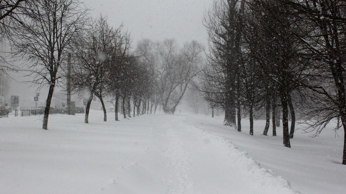Снежная непогода в Украине снова набирает обороты