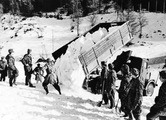 Зимова Олімпіада в Інсбруці Зимова Олімпіада в Інсбруці