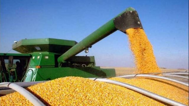 Украинская кукуруза вытеснила американскую на китайском рынке