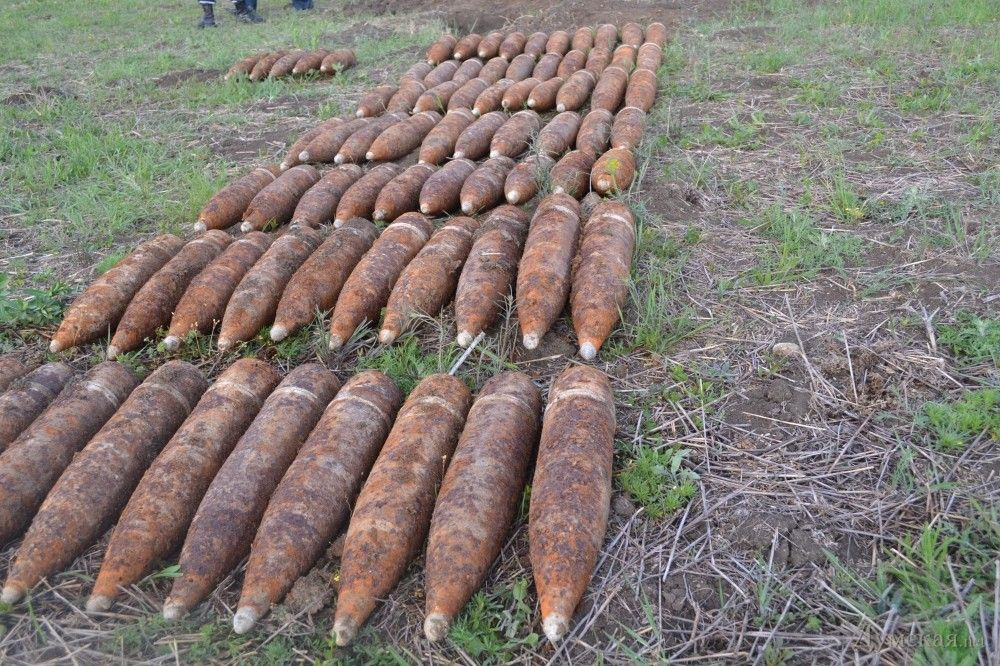 В Киевской области нашли 400 снарядов Второй мировой: репортаж с места событий