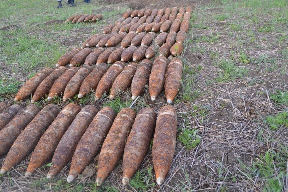 В Киевской области нашли 400 снарядов Второй мировой: репортаж с места событий