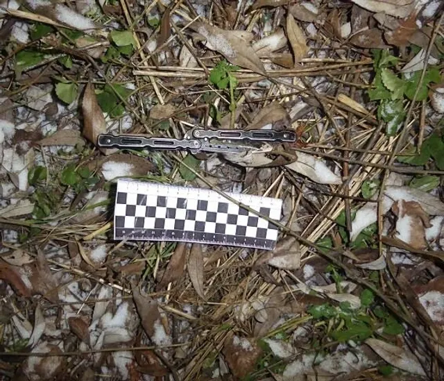 Поліція, Київ, ніж, різанина, Кримінал 