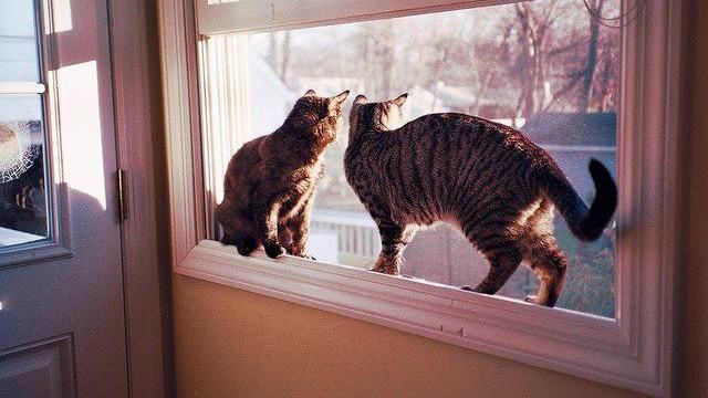 Погода на 15 февраля в Украине: потепление придет с Европы Погода на 15 февраля в Украине: потепление придет с Европы