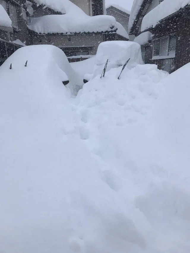 Через сильні снігопади в Японії загинули 15 осіб