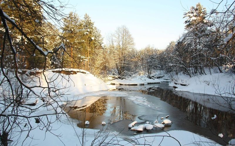 Погода 16 февраля в Украине: зима отступает