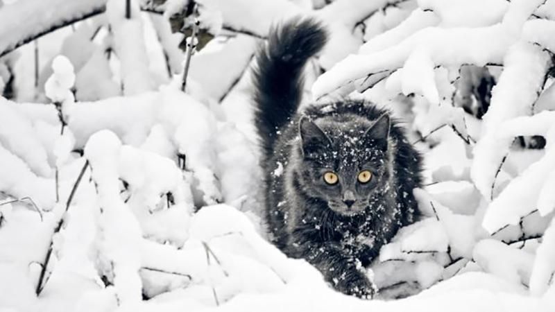 Погода на 19 февраля в Украине - прогноз погоды Погода на 19 февраля в Украине - прогноз погоды