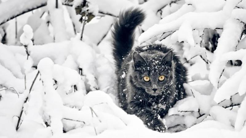 Погода на 19 февраля в Украине - прогноз погоды