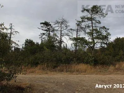 Екологічне лихо у Криму Екологічне лихо у Криму