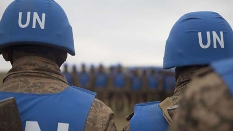 У Швеції зробили вагому заяву щодо введення миротворців на Донбас