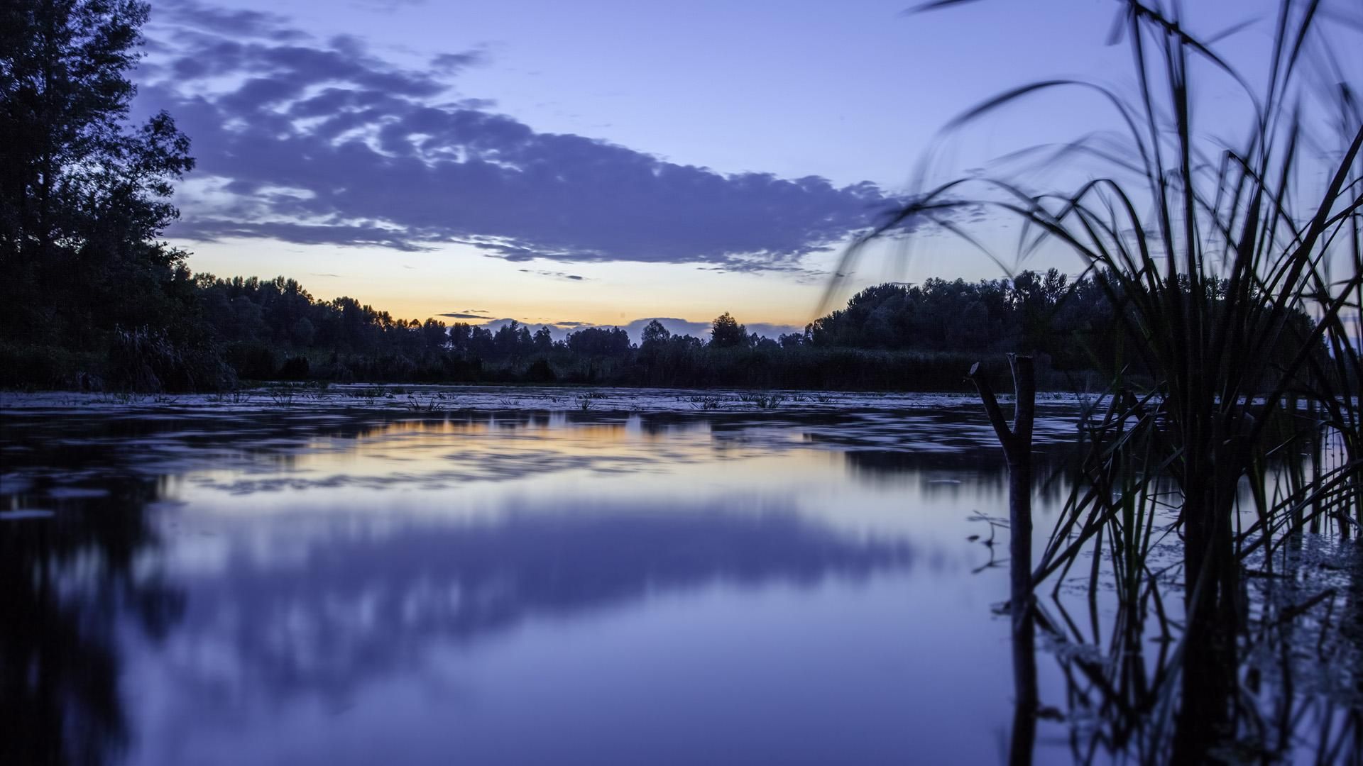 Днепр превращается в "киевское болото": неутешительный прогноз от специалистов Днепр превращается в "киевское болото": неутешительный прогноз от специалистов