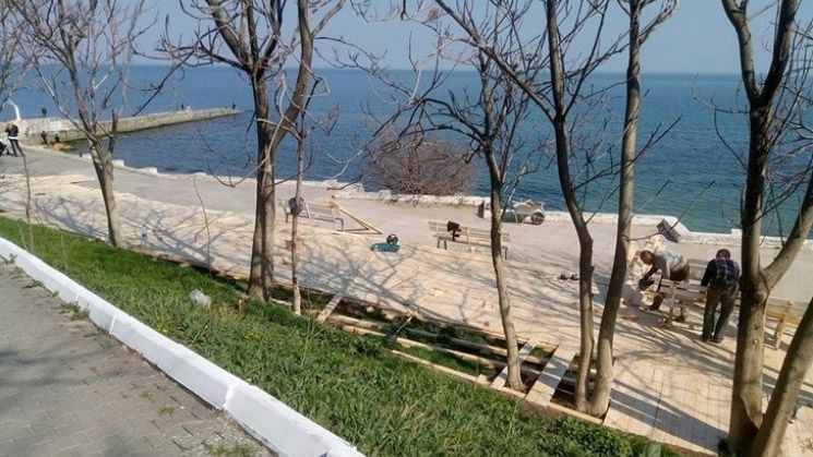 В Одесі понівечили "Трасу здоров'я": невідомі вирубали більше 200 дерев В Одесі понівечили "Трасу здоров'я": невідомі вирубали більше 200 дерев