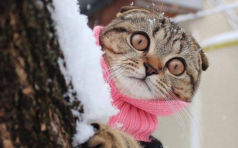 Погодна 21 лютого в Україні: прогноз погоди від синоптиків Погодна 21 лютого в Україні: прогноз погоди від синоптиків