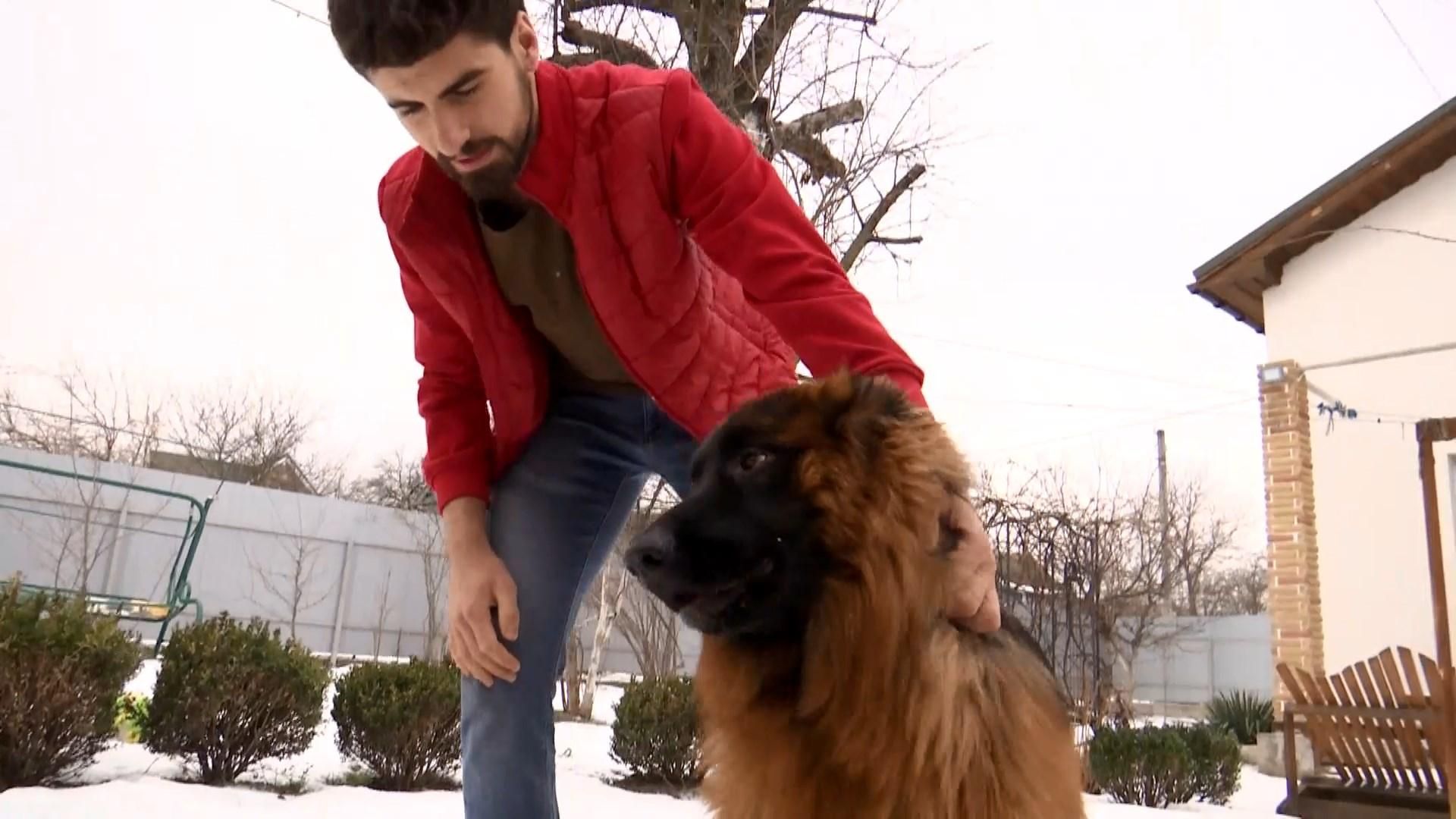 Як працівники карного розшуку розшукували собаку в Києві: зворушлива історія Як працівники карного розшуку розшукували собаку в Києві: зворушлива історія