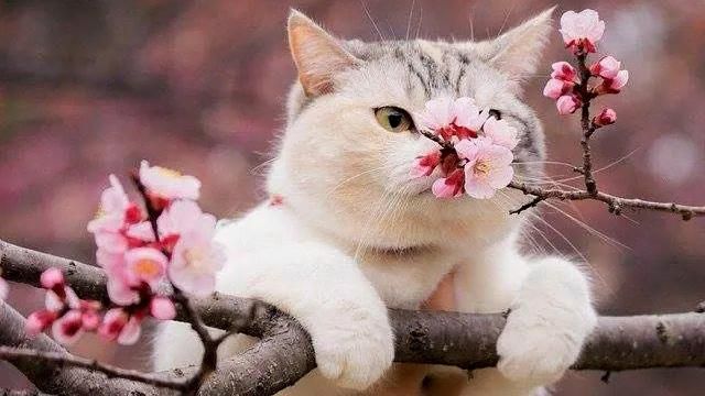 Когда потеплеет в Украине в 2018: прогноз погоды от синоптиков Когда потеплеет в Украине в 2018: прогноз погоды от синоптиков