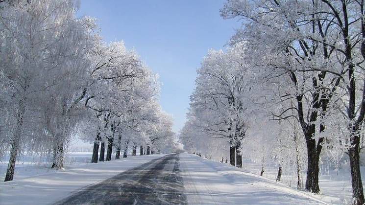 Негода в Україні: морози на Сумщині б'ють рекорди, насуваються потужні снігопади