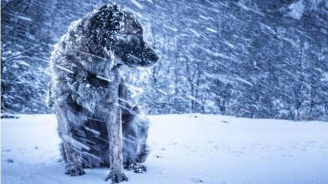 На вихідних Україну накриє ще один циклон – оголошено штормове попередження На вихідних Україну накриє ще один циклон – оголошено штормове попередження