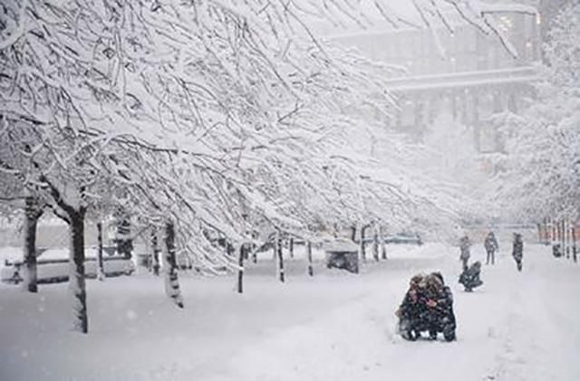 Україну вкриють сильні снігопади та хуртовини: перелік областей