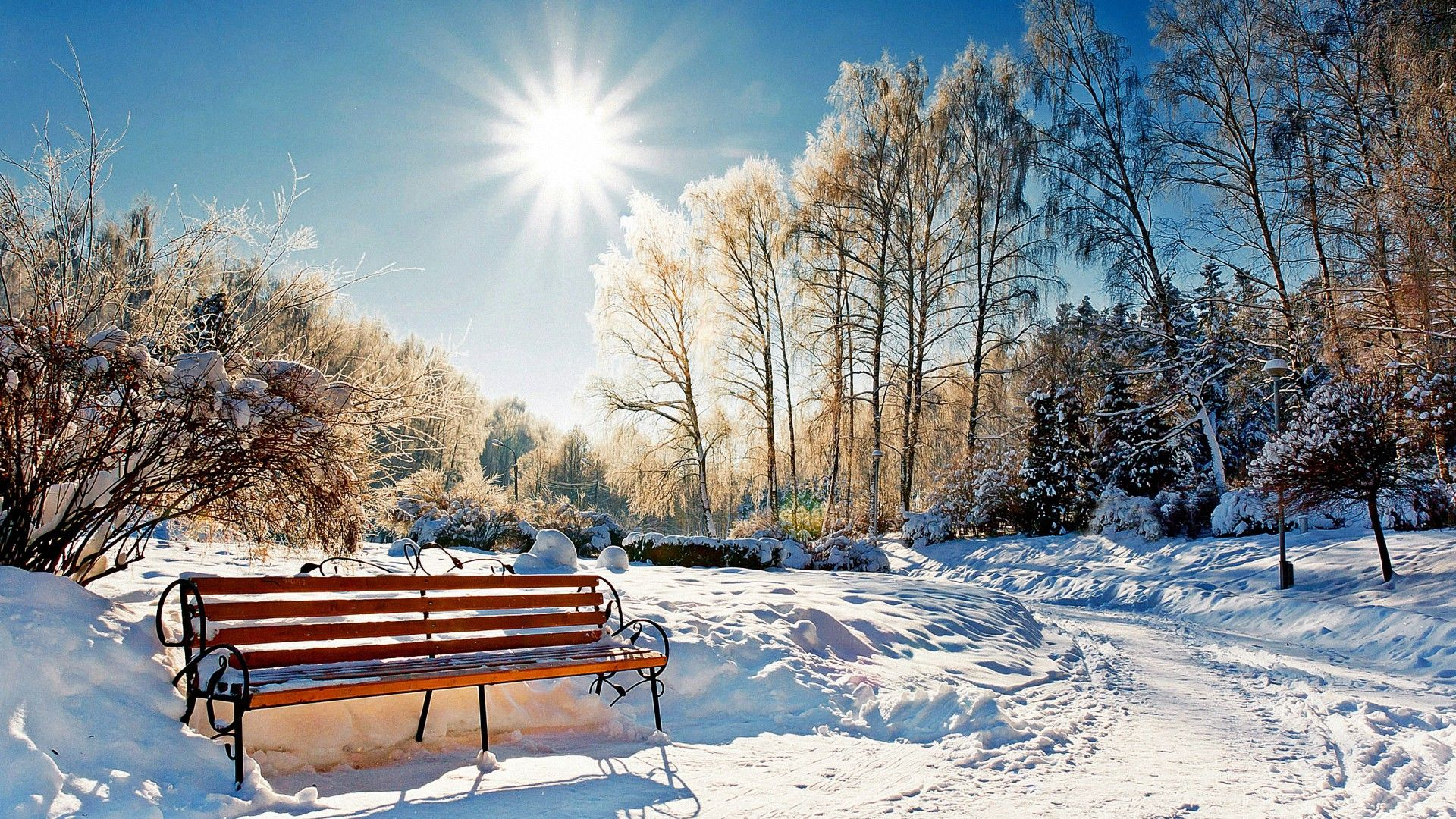 Погода 4 марта в Украине: прогноз от синоптиков