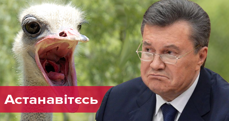 "Батя, вернись" і "Яке воно обізяна": нестримна реакція соцмереж на прес-конференцію Януковича