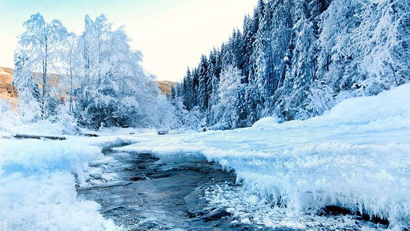 Как Карпаты выглядели в последний день зимы: сказочные фото