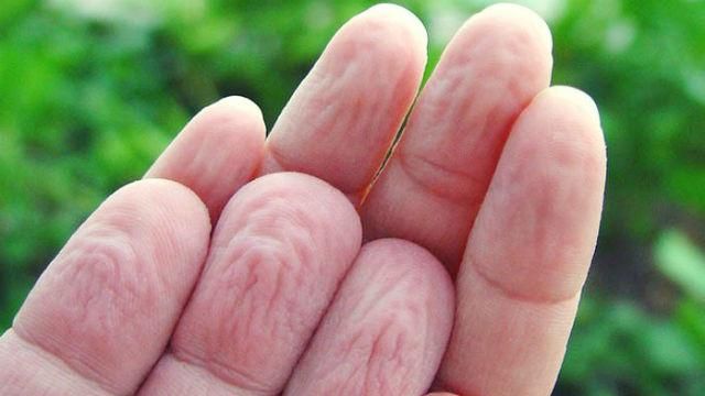 Чому у воді морщаться пальці – несподіване дослідження