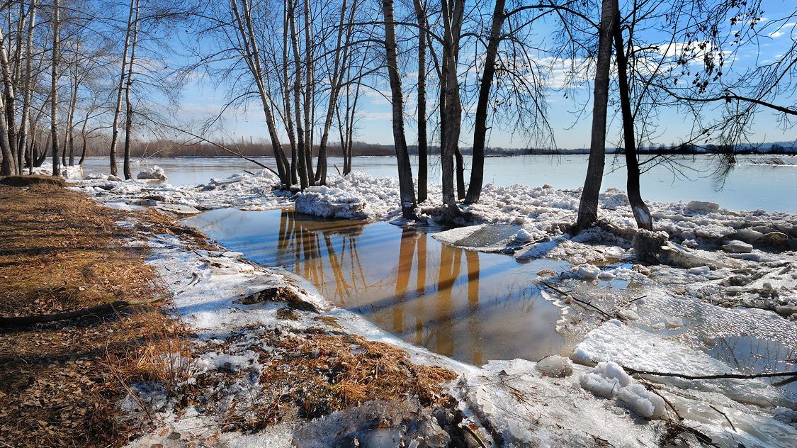 Погода 9 березня в Україні: прогноз від синоптиків