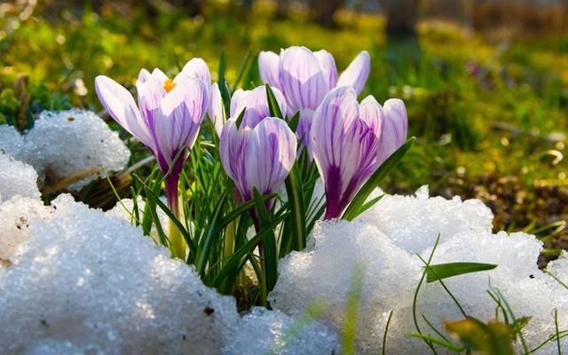 Прогноз погоды на 10 марта в Украине от синоптиков