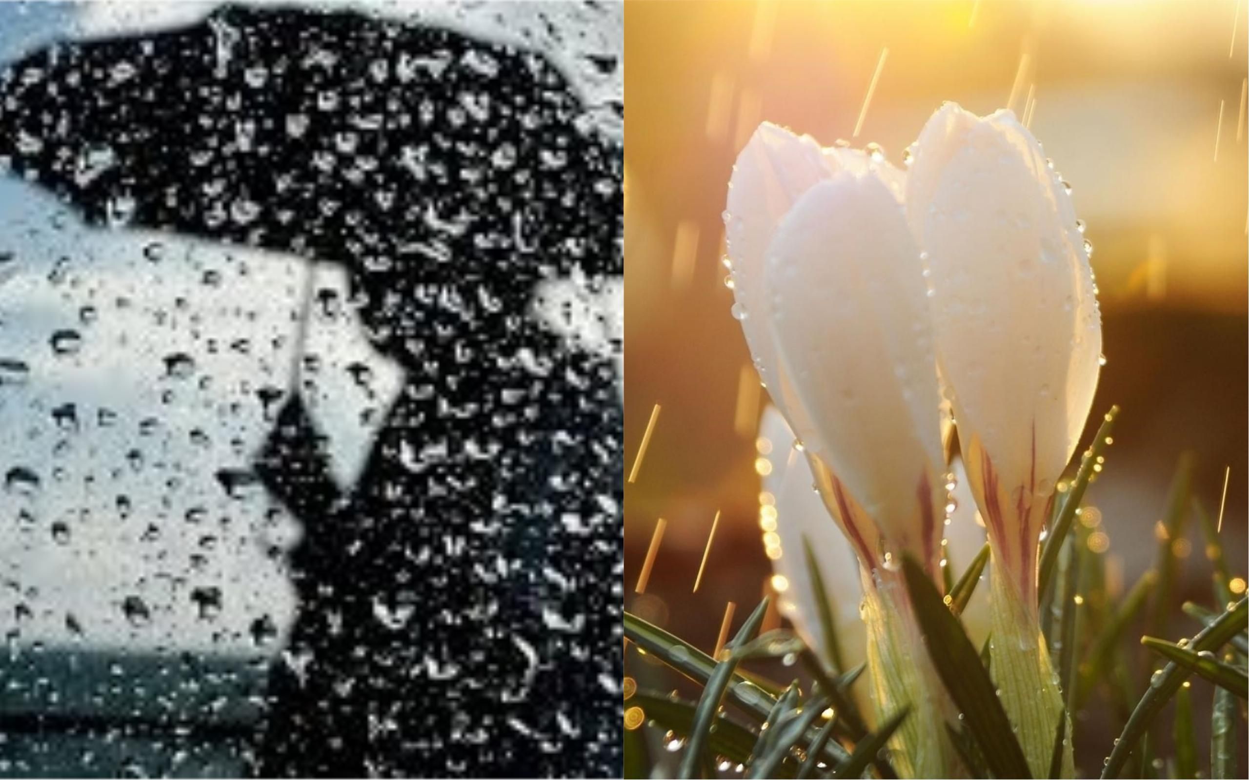 Погода на 11 березня в Україні: прогноз погоди Погода на 11 березня в Україні: прогноз погоди