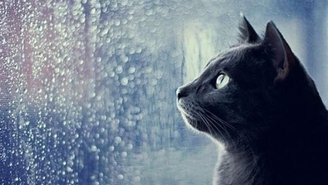 Погода 12 марта в Украине от синоптиков - прогноз Погода 12 марта в Украине от синоптиков - прогноз