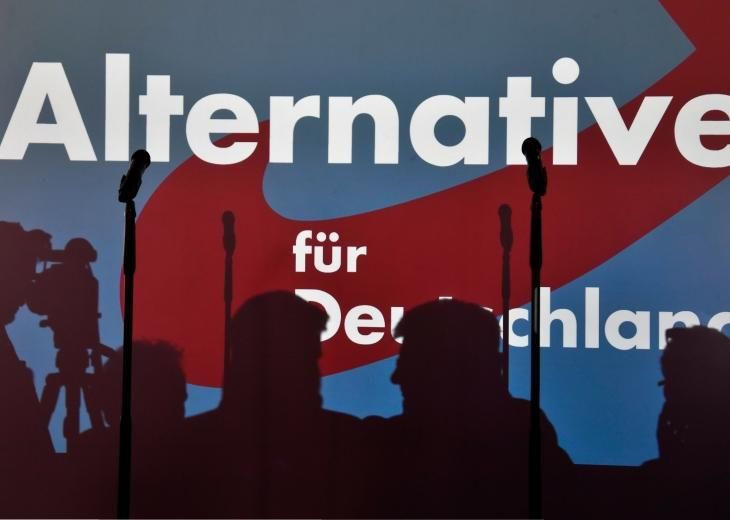 Депутаты из Германии, "гастролировали" по Крыму, посетили в Сирию, – Der Spiegel Депутаты из Германии, "гастролировали" по Крыму, посетили в Сирию, – Der Spiegel