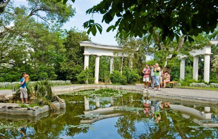 В оккупированной Ялте уничтожают Приморский парк В оккупированной Ялте уничтожают Приморский парк