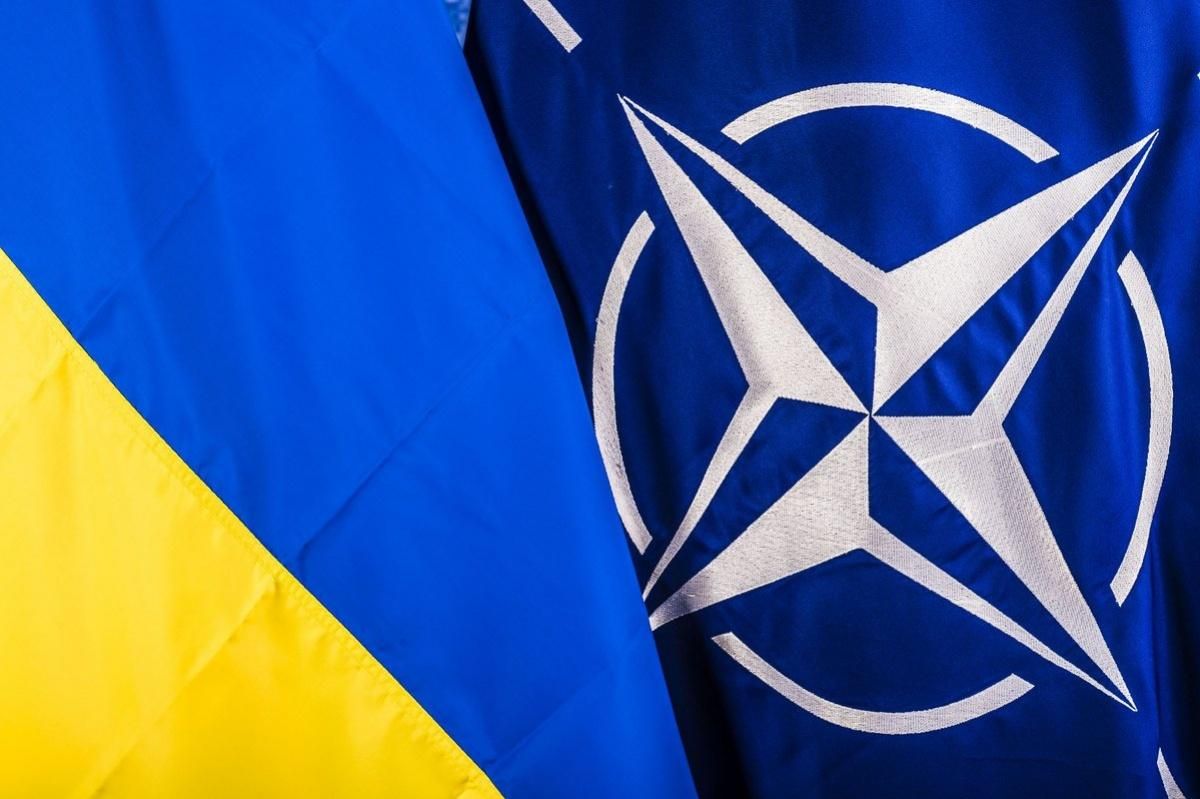 НАТО признало за Украиной статус страны-аспиранта: официально