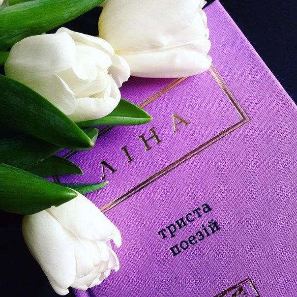 Вірші Ліни Костенко Вірші Ліни Костенко