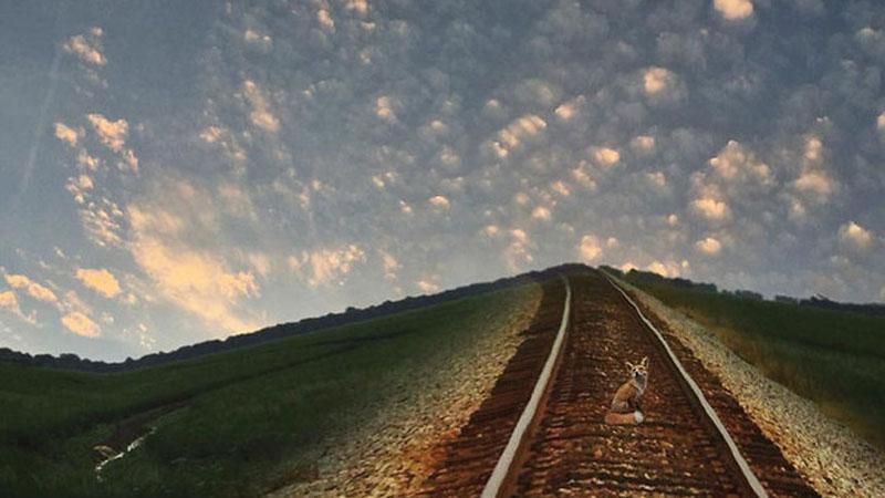Американка створює казкові фотографії за допомогою смартфона: дивовижні знімки