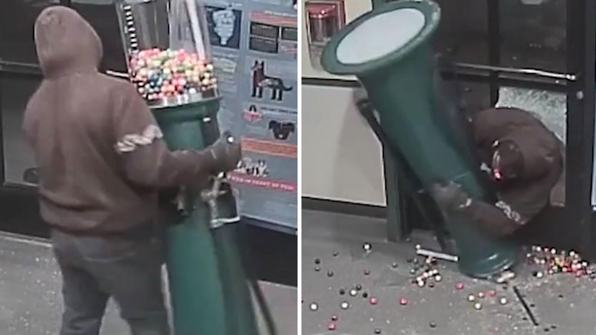 "Деньги не нужны, взял жвачки": нелепое ограбление приюта для животных рассмешило сеть