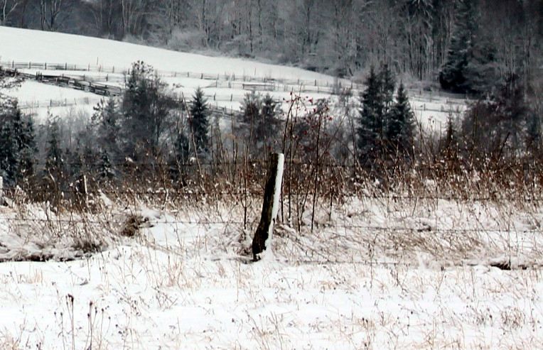 На Буковине нашли в снегу мертвым экс-депутата