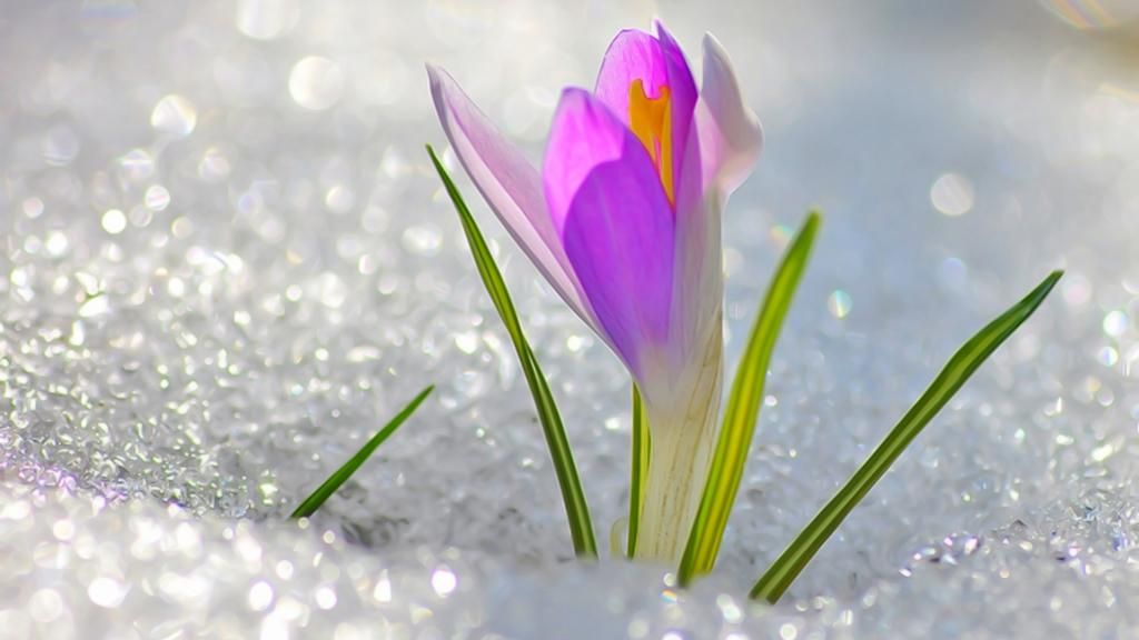 У Гідрометцентрі розповіли, коли завершаться снігопади та мороз У Гідрометцентрі розповіли, коли завершаться снігопади та мороз