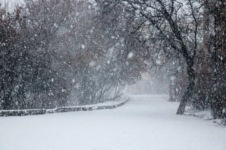 Прогноз погоды на 20 марта: снегопады и морозы продолжаются Прогноз погоды на 20 марта: снегопады и морозы продолжаются