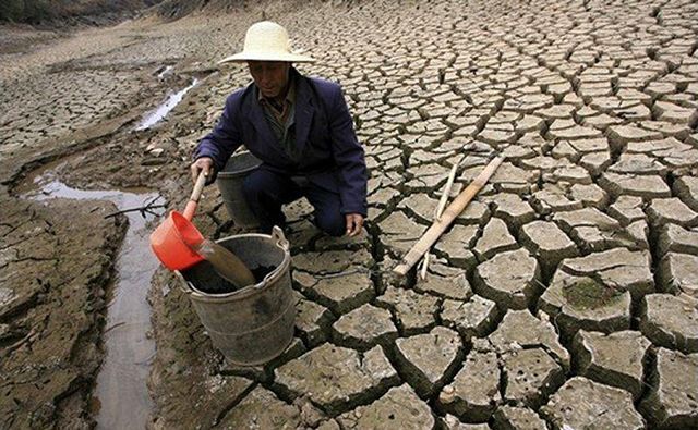 Половина людства опинилася під загрозою нестачі води, – ООН