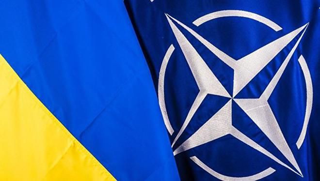 НАТО планирует бесплатно учить английскому языку ветеранов войны на Донбассе